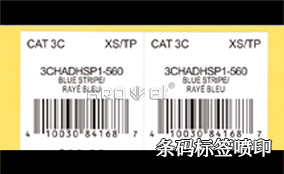 R1电池标签可变喷印系统手艺参数 Technical Parameters